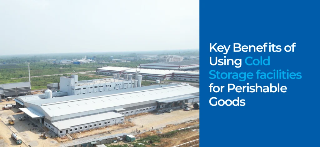Key Benefits of Using Cold Storage Facilities for Perishable Goods